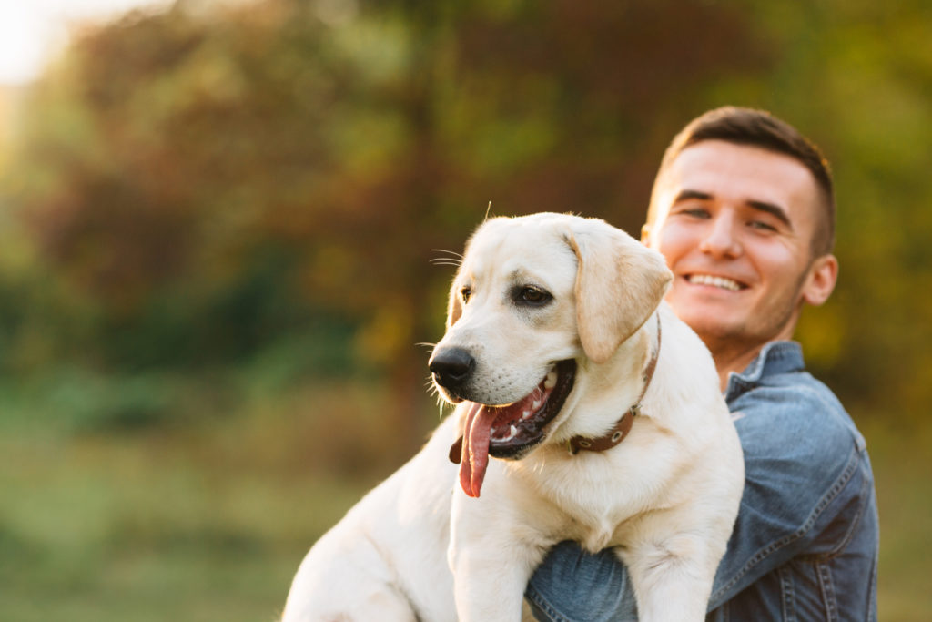 Pensioni per cani in Lombardia